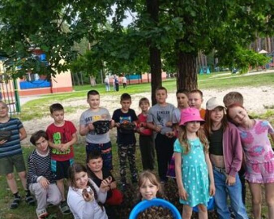 изображение_viber_2025-07-01_20-46-45-942