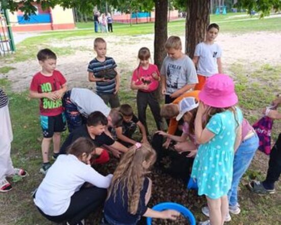 изображение_viber_2025-07-01_20-46-46-434
