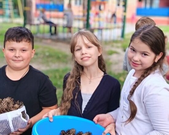 изображение_viber_2025-07-01_20-46-46-661
