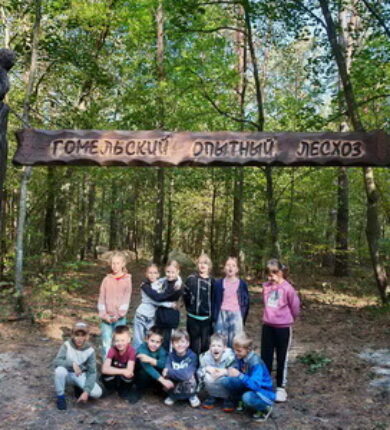 изображение_viber_2025-09-26_13-29-30-414