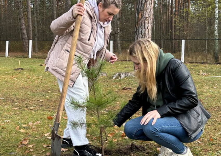 photo_2025-11-06_11-22-17