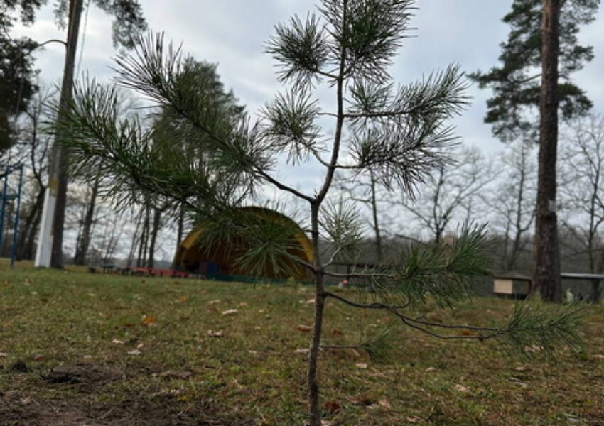 photo_2025-11-06_11-22-26