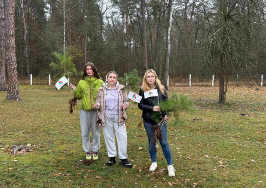 photo_2025-11-06_11-23-12